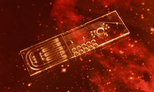PhotonHub LioniX lifemarker chip for mars mission lab-on-a-chip with optical readout