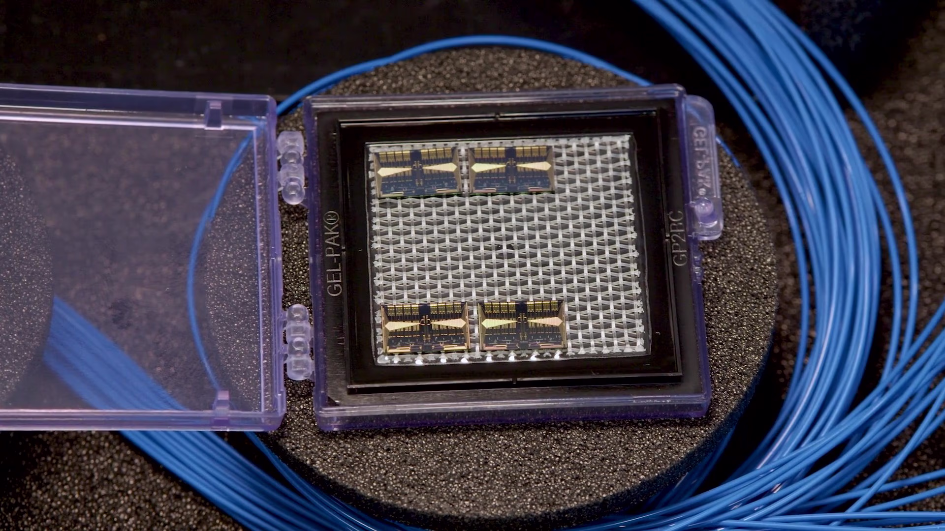 PhotonHub Pilot Photonics Chip