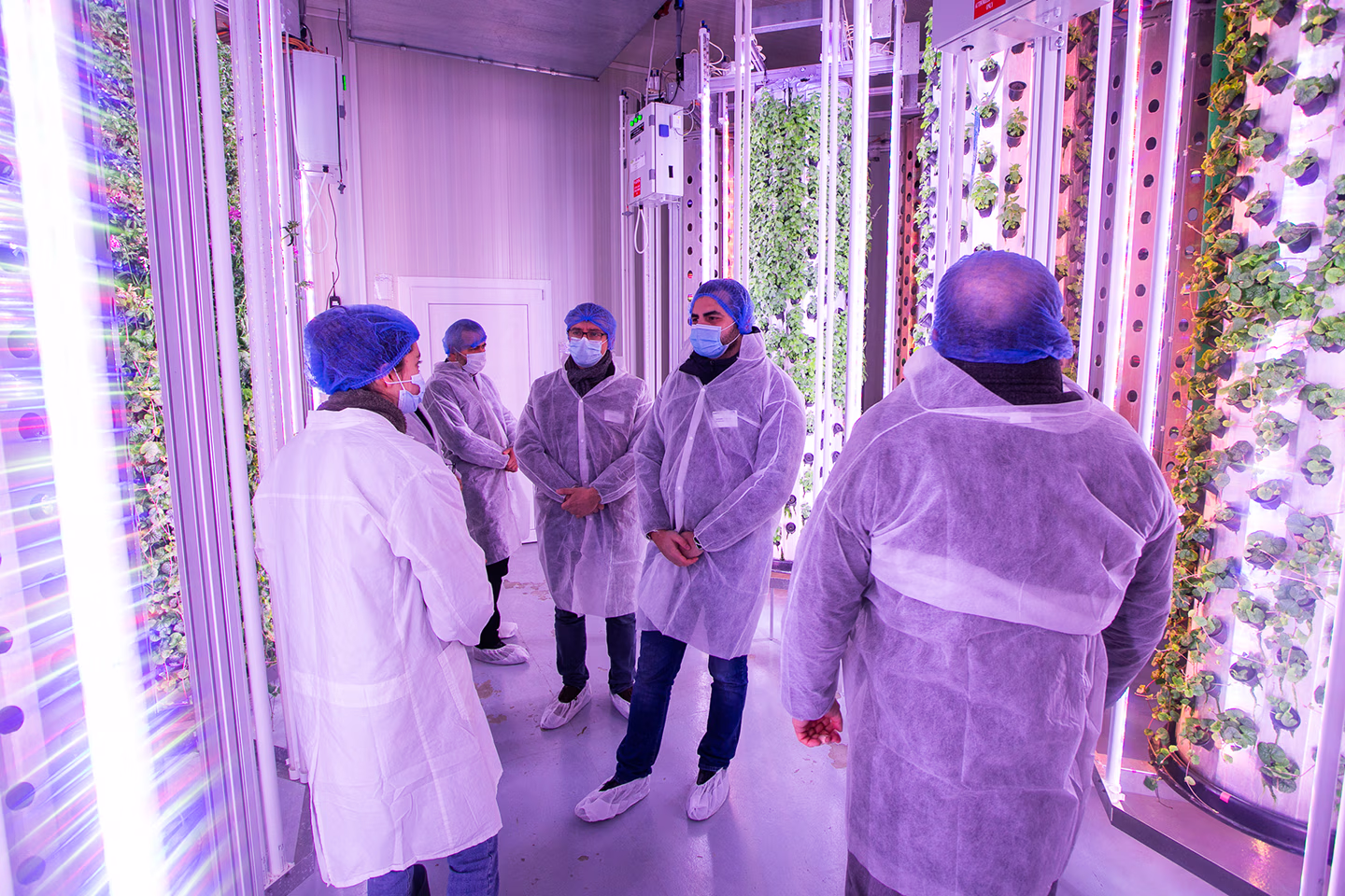 PhotonHub - people standing in a vertical farming area